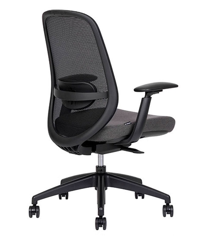 Spirit Express Black Bajo